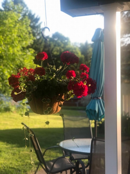 Ottaway Inn LLC image 13