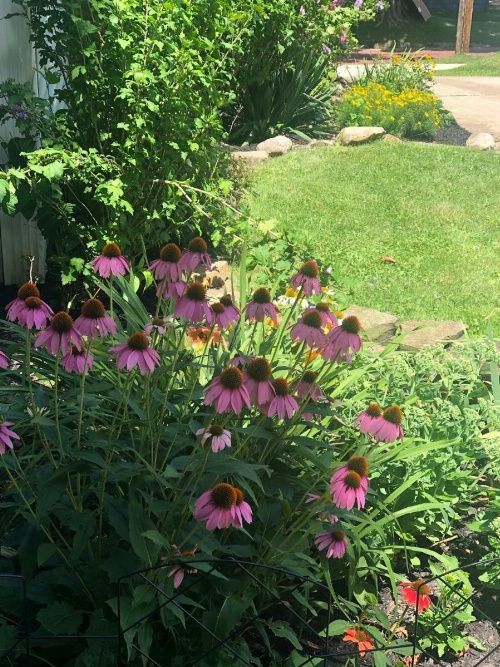 Ottaway Inn LLC image 14